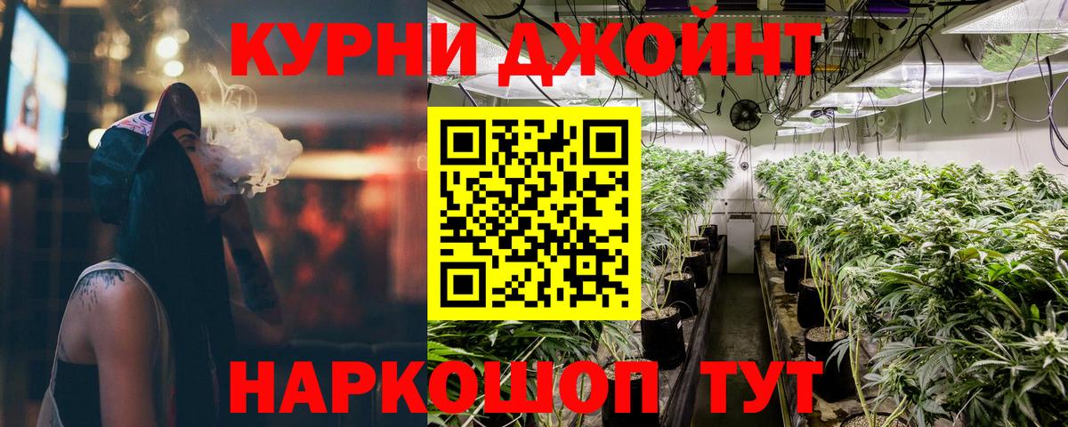 Канабис гибрид Советский